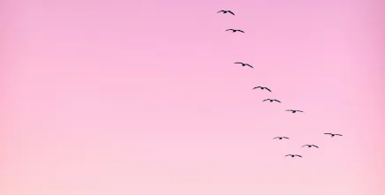 Grief and bereavement and how we can help