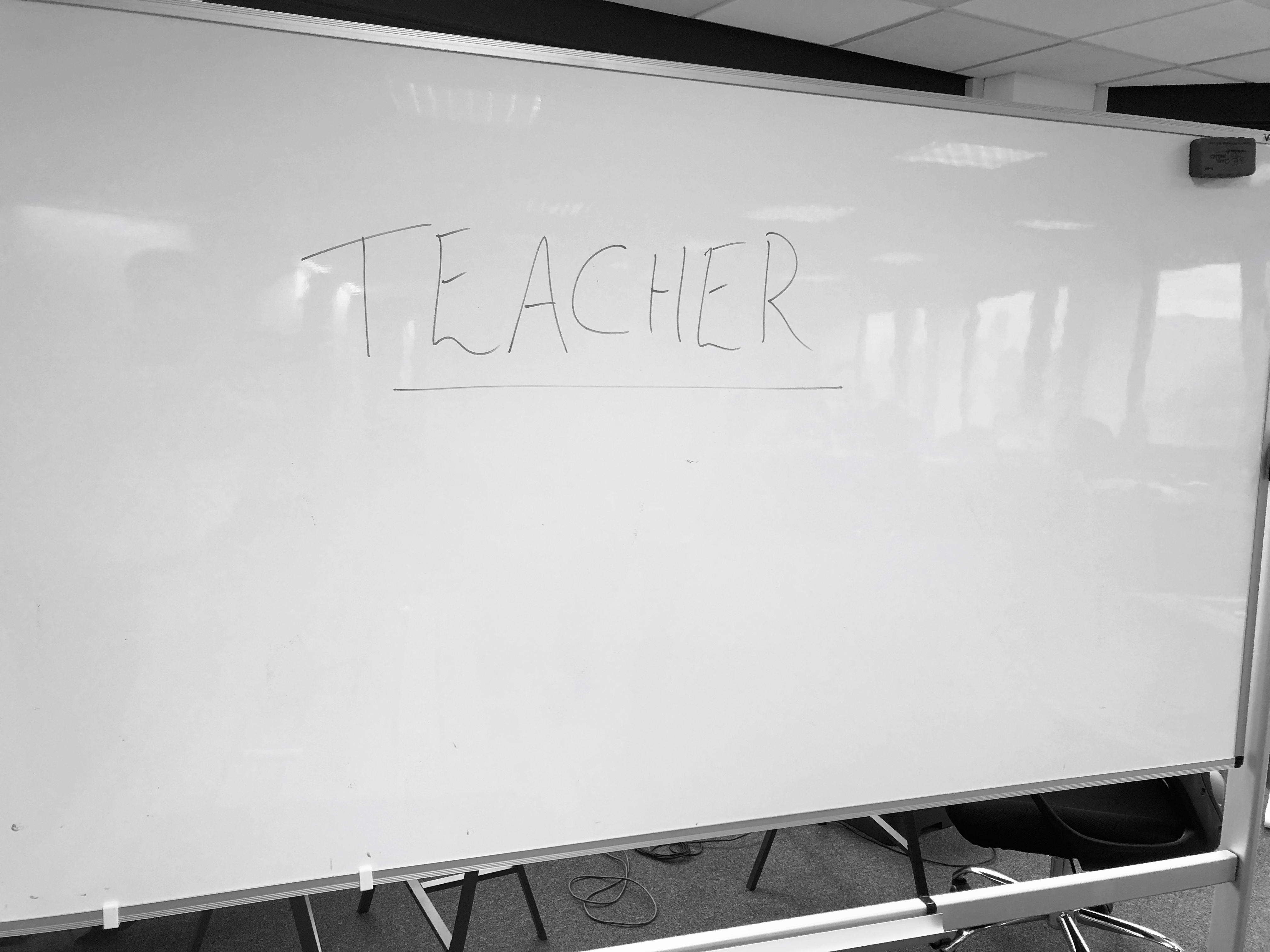 Additional Experience: Primary School Teacher